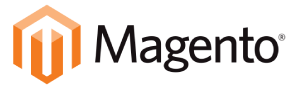 blinknbuild magento services