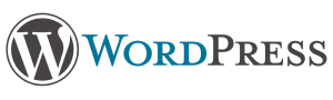 blinknbuild wrodpress services