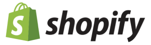 blinknbuild shopify services