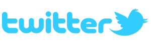 blinknbuild twitter services